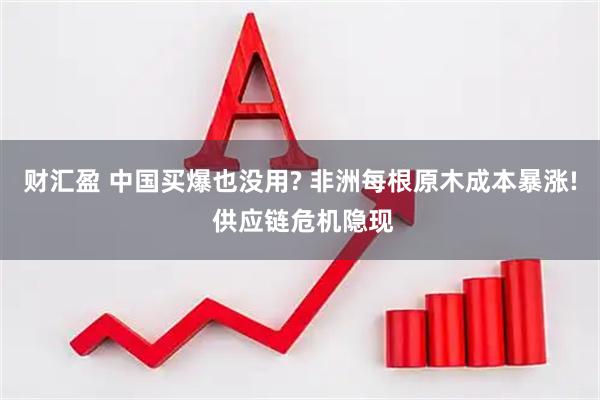 财汇盈 中国买爆也没用? 非洲每根原木成本暴涨! 供应链危机隐现