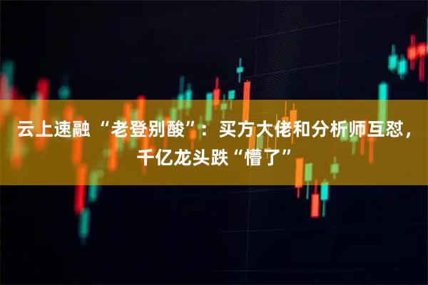 云上速融 “老登别酸”：买方大佬和分析师互怼，千亿龙头跌“懵了”