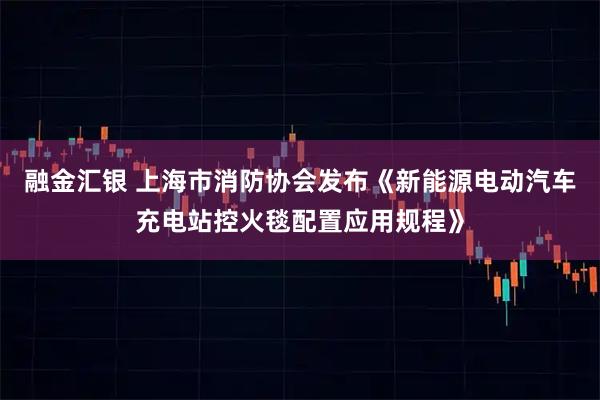 融金汇银 上海市消防协会发布《新能源电动汽车充电站控火毯配置应用规程》