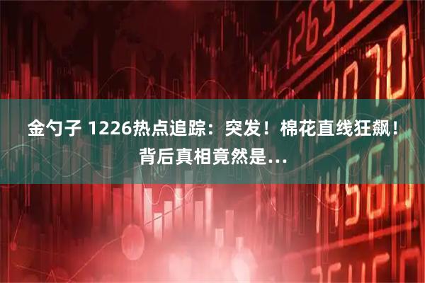 金勺子 1226热点追踪：突发！棉花直线狂飙！背后真相竟然是…