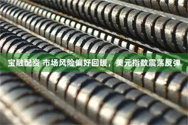 宝融配资 市场风险偏好回暖，美元指数震荡反弹