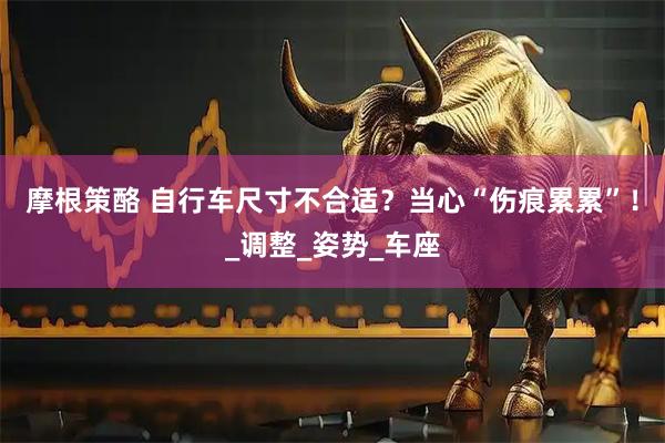 摩根策酪 自行车尺寸不合适？当心“伤痕累累”！_调整_姿势_车座